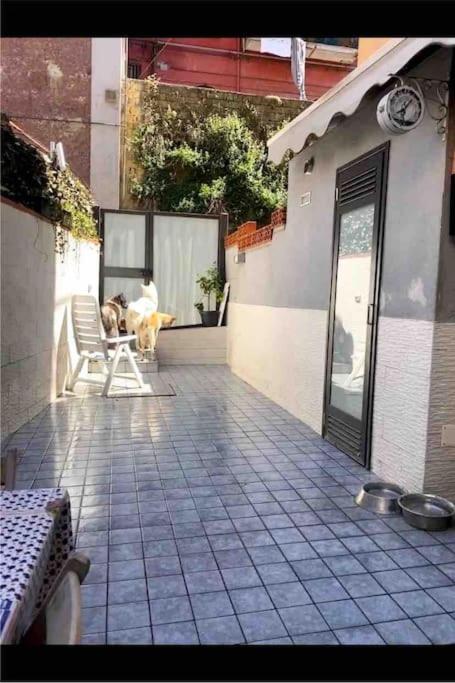 Napoli Centro Casa Con Due Camere E Cucina Εξωτερικό φωτογραφία